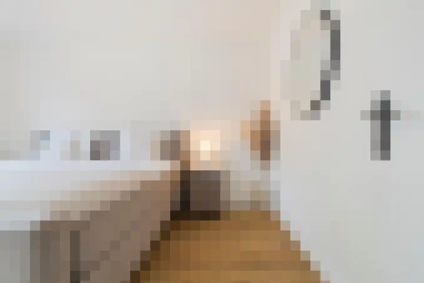 Opbraakstraat 4 Geleen thumbnail 29