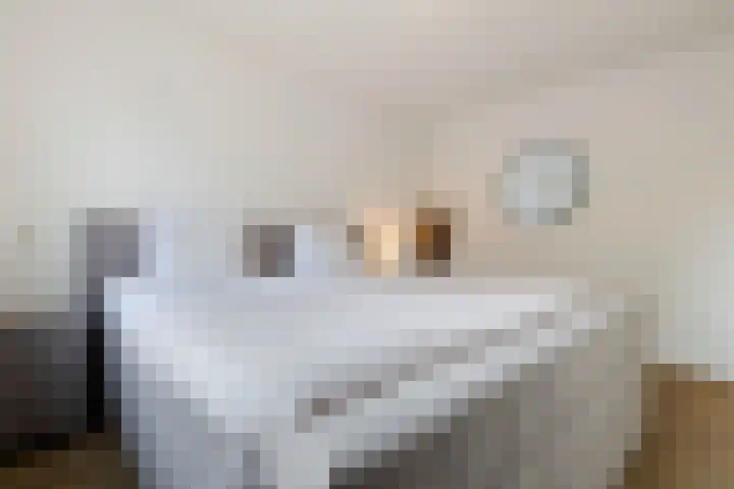 Opbraakstraat 4 Geleen thumbnail 30