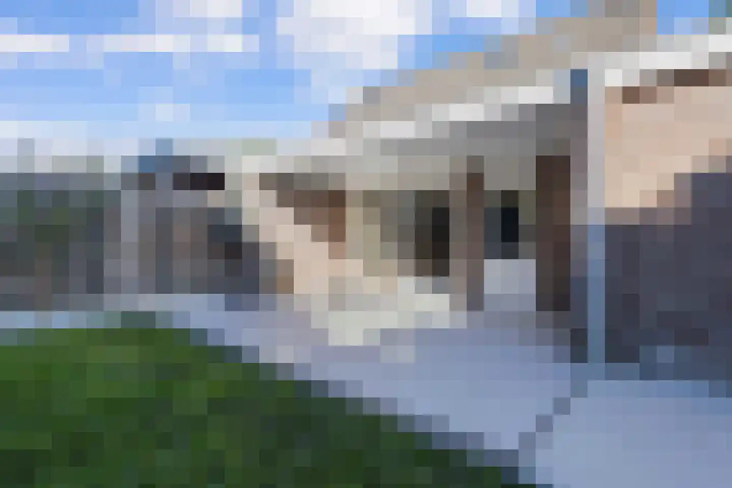 Opbraakstraat 4 Geleen thumbnail 45