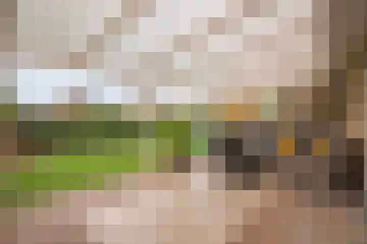 Opbraakstraat 53 Geleen thumbnail 22
