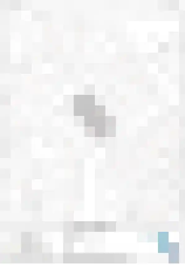 Opbraakstraat 53 Geleen thumbnail 32