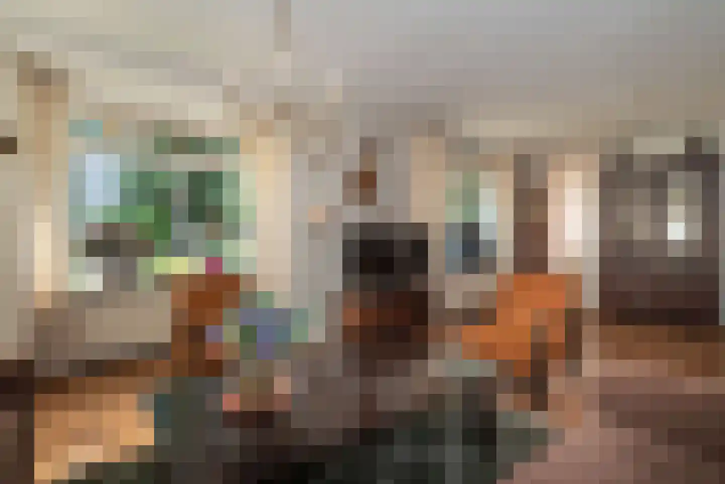 Opbroekweg 9 Rijssen thumbnail 14