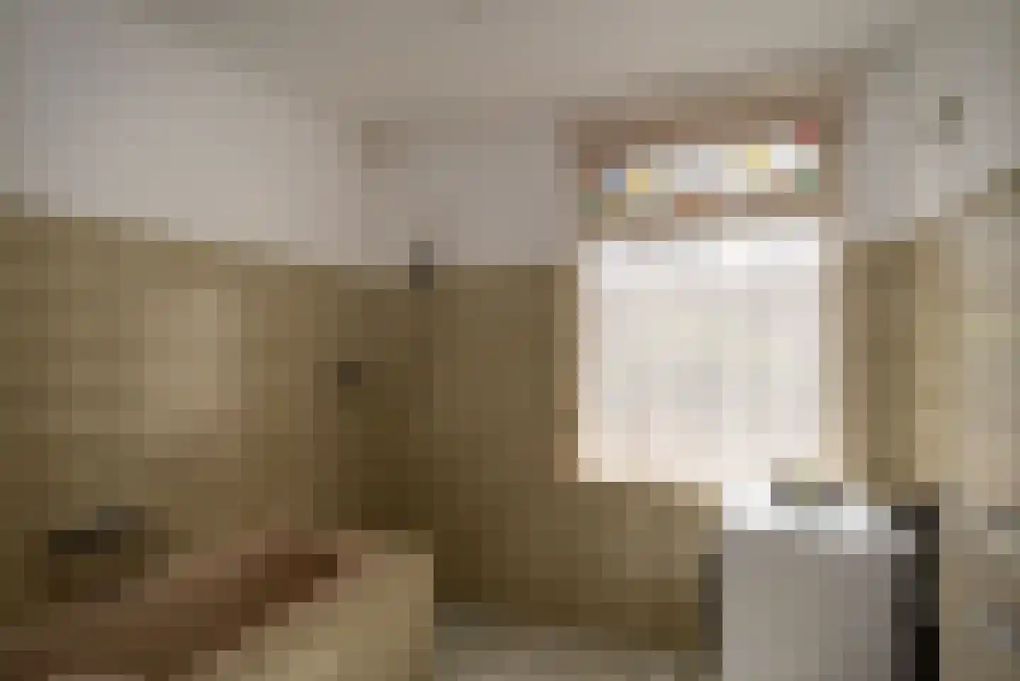 Opbroekweg 9 Rijssen thumbnail 30