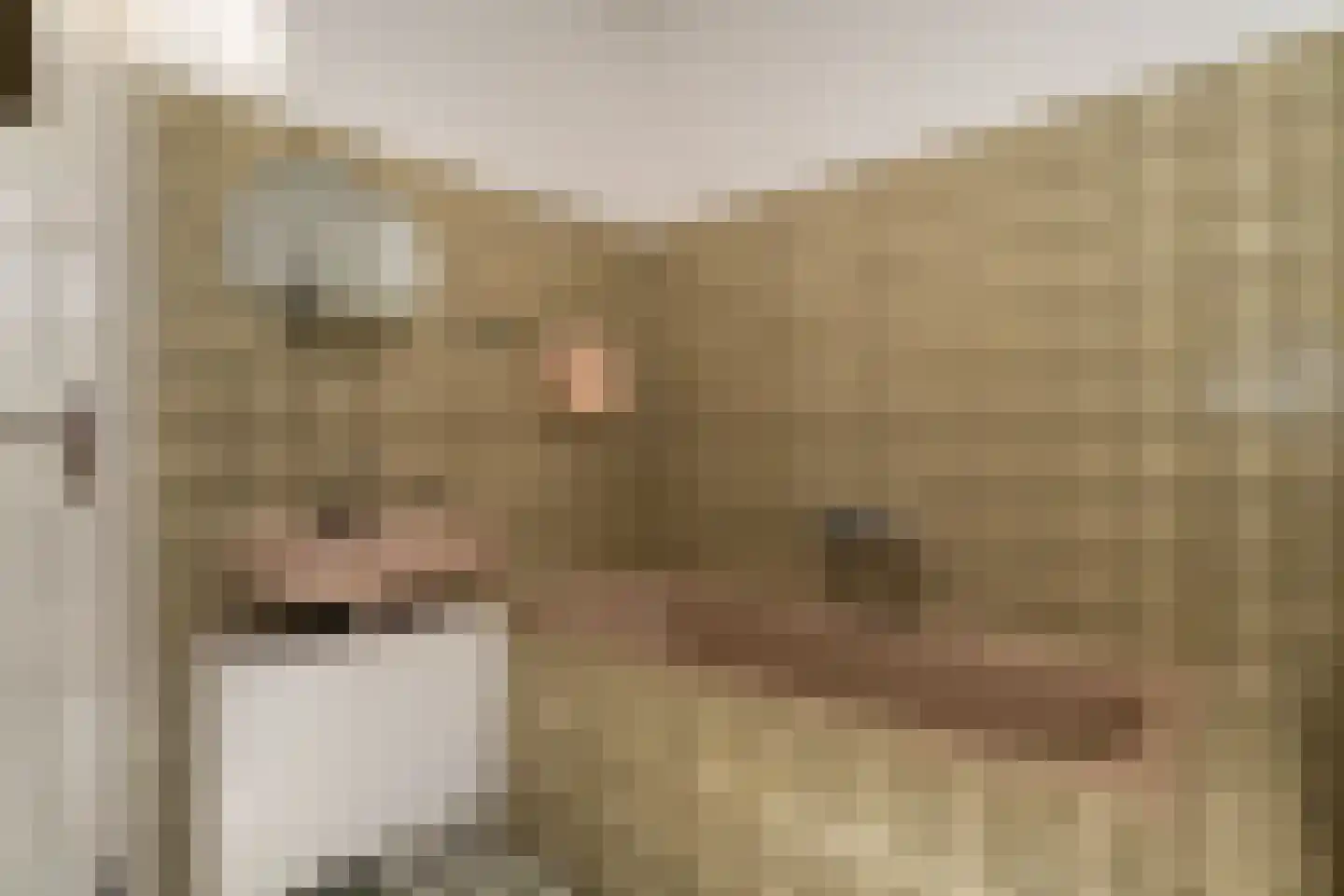 Opbroekweg 9 Rijssen thumbnail 33