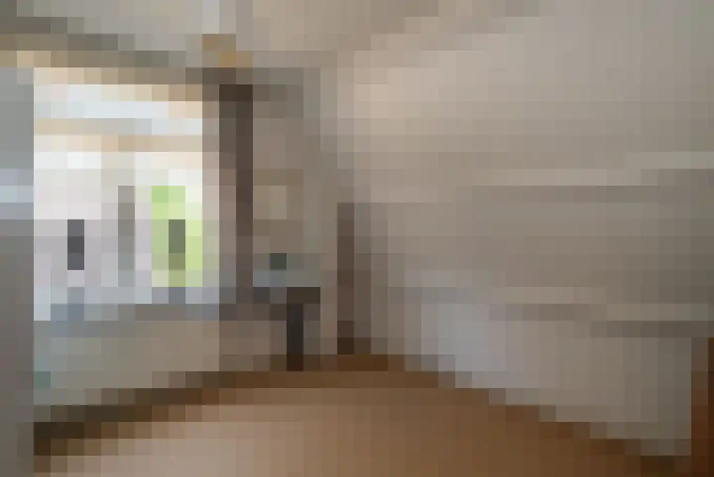 Opbroekweg 9 Rijssen thumbnail 37