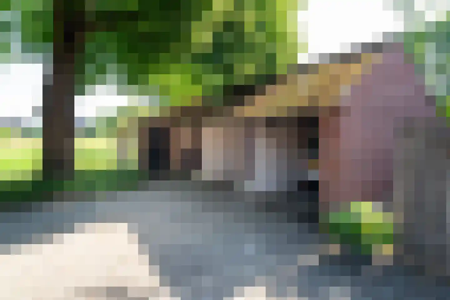 Opbroekweg 9 Rijssen thumbnail 46