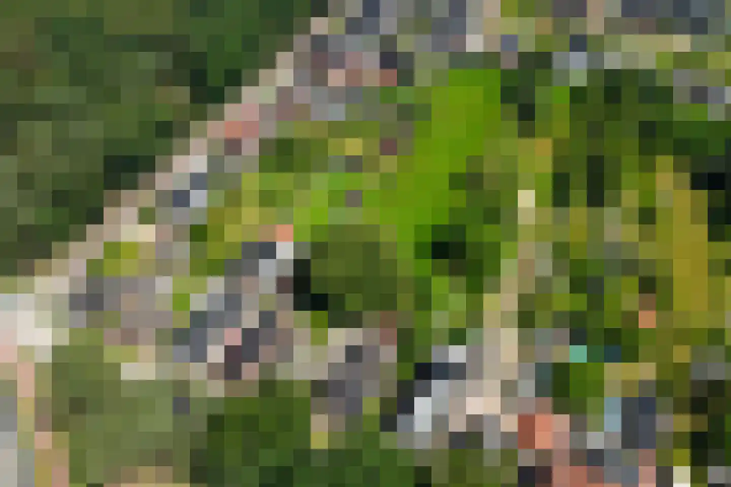 Opbroekweg 9 Rijssen thumbnail 47