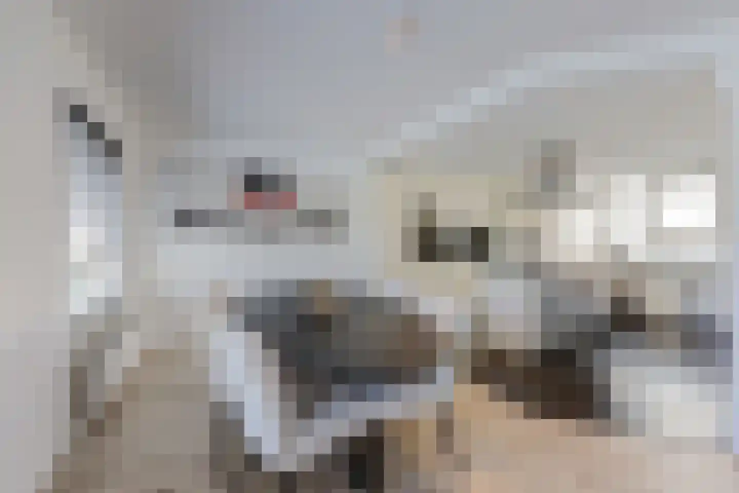 Open Hof 53 Zeewolde thumbnail 13
