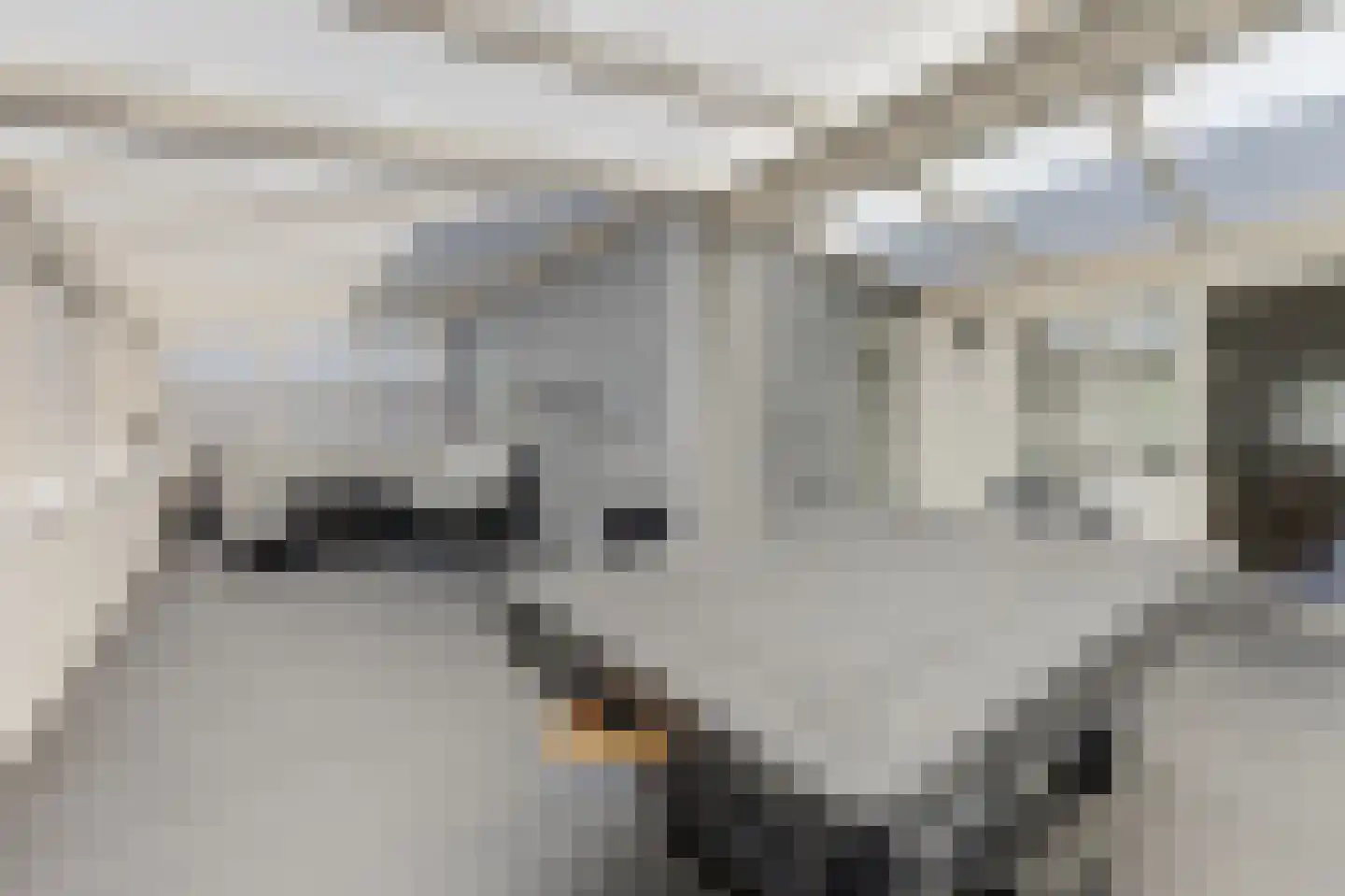 Open Hof 53 Zeewolde thumbnail 24