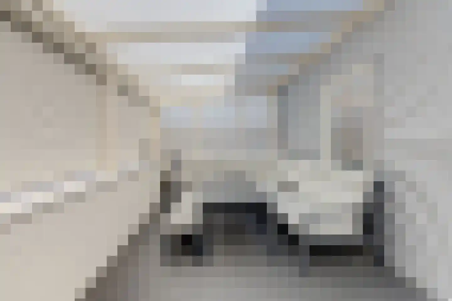 Open Hof 53 Zeewolde thumbnail 25