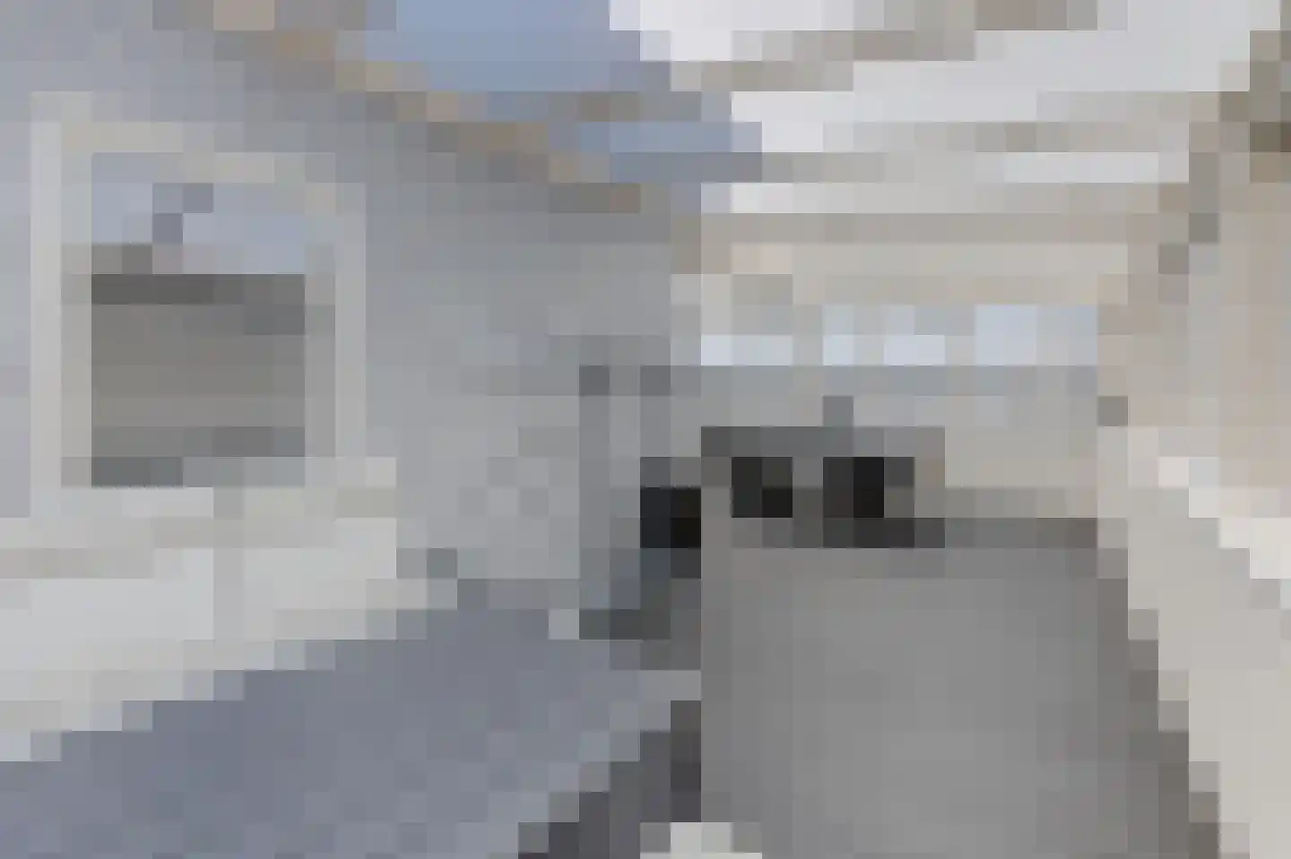 Open Hof 53 Zeewolde thumbnail 26