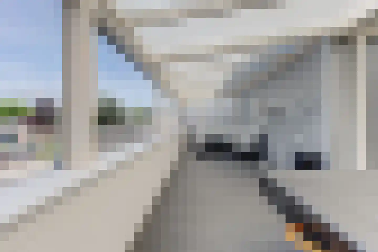 Open Hof 53 Zeewolde thumbnail 28