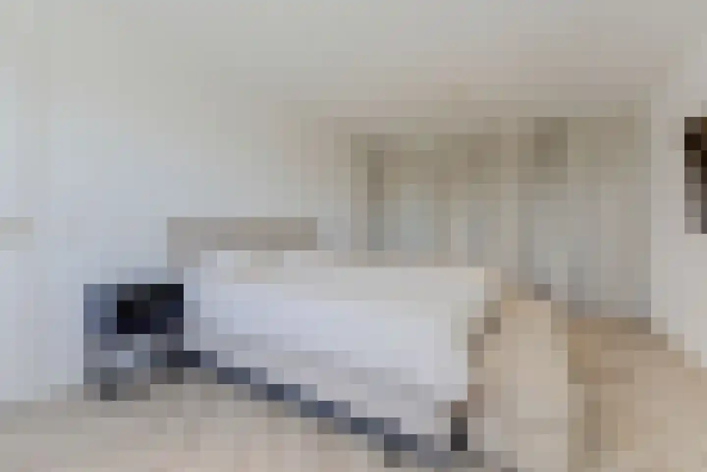 Open Hof 53 Zeewolde thumbnail 36