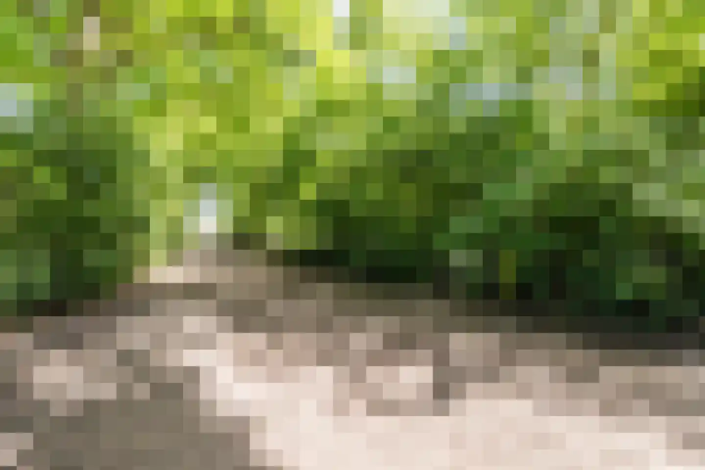 Openderweg 28 Opende thumbnail 11
