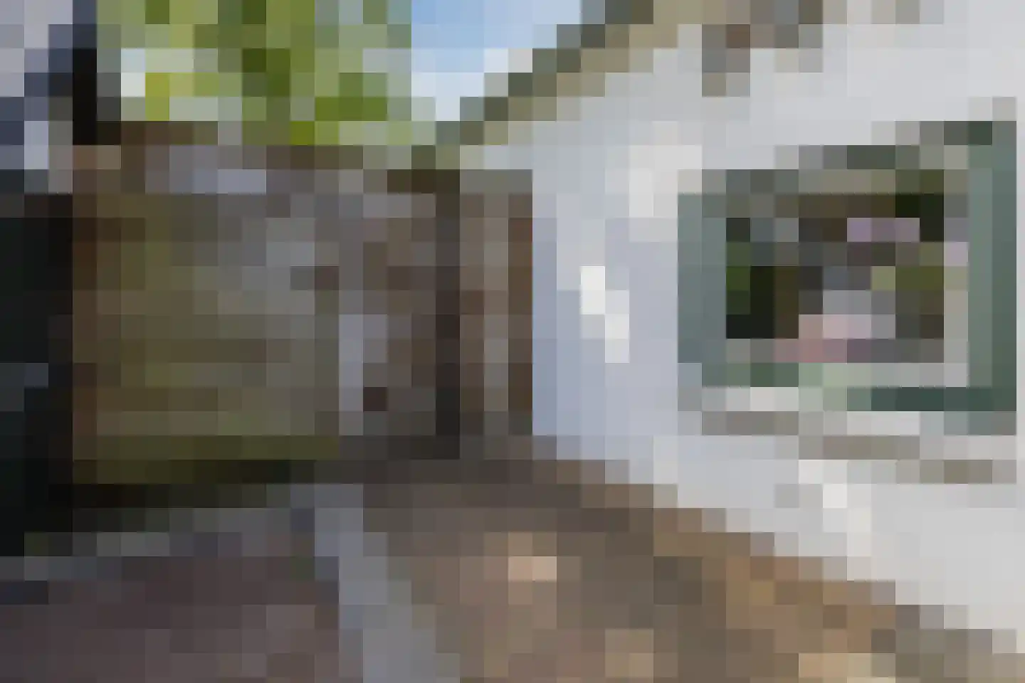 Openderweg 28 Opende thumbnail 64