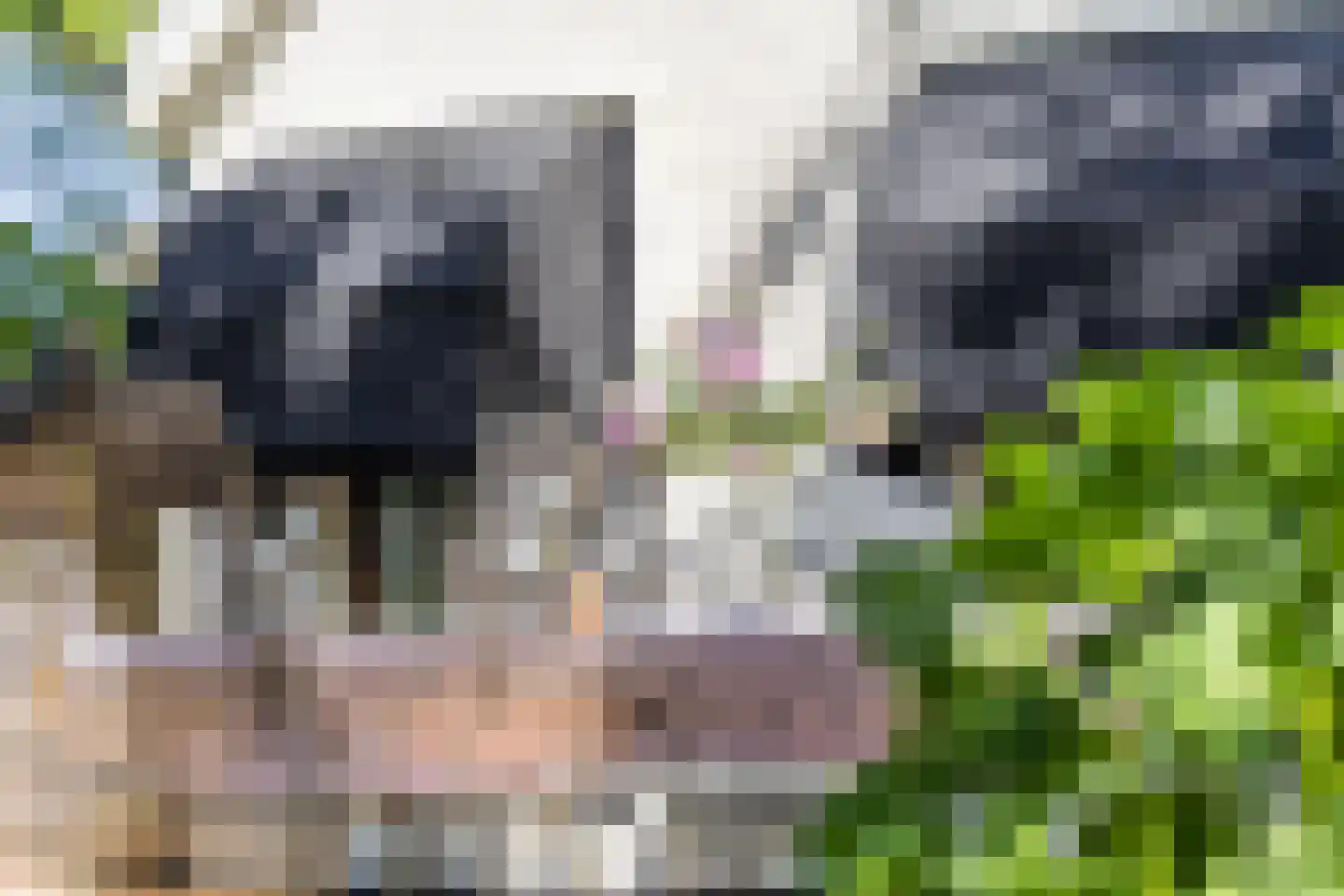 Openderweg 28 Opende thumbnail 7