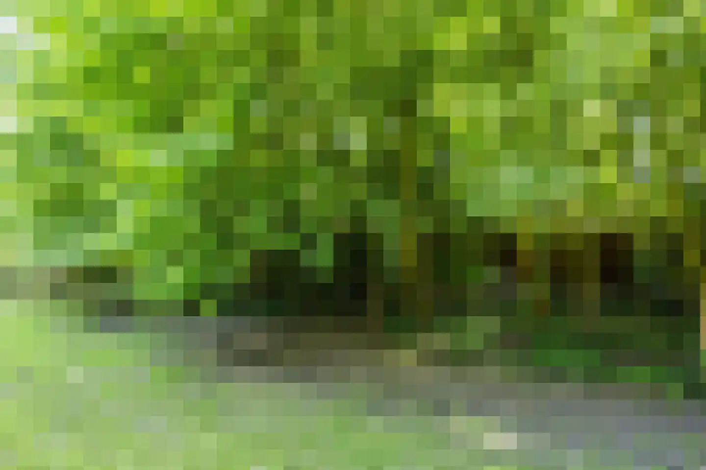 Openderweg 28 Opende thumbnail 73