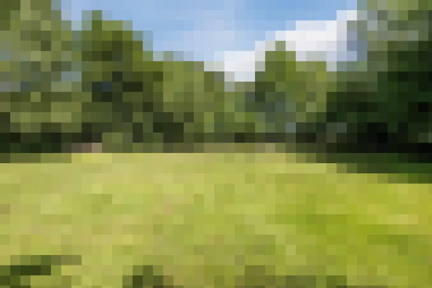 Openderweg 28 Opende thumbnail 83