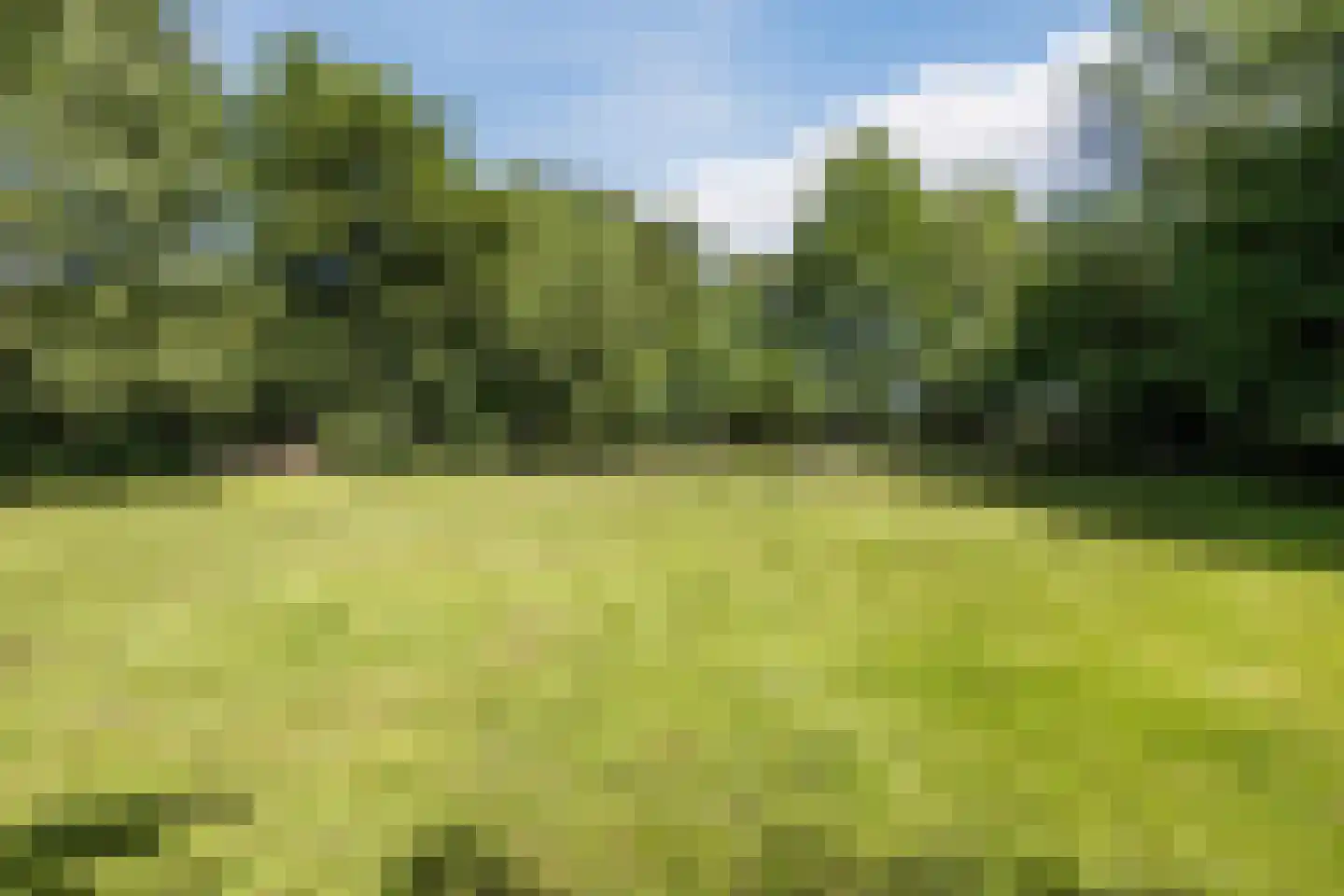 Openderweg 28 Opende thumbnail 83