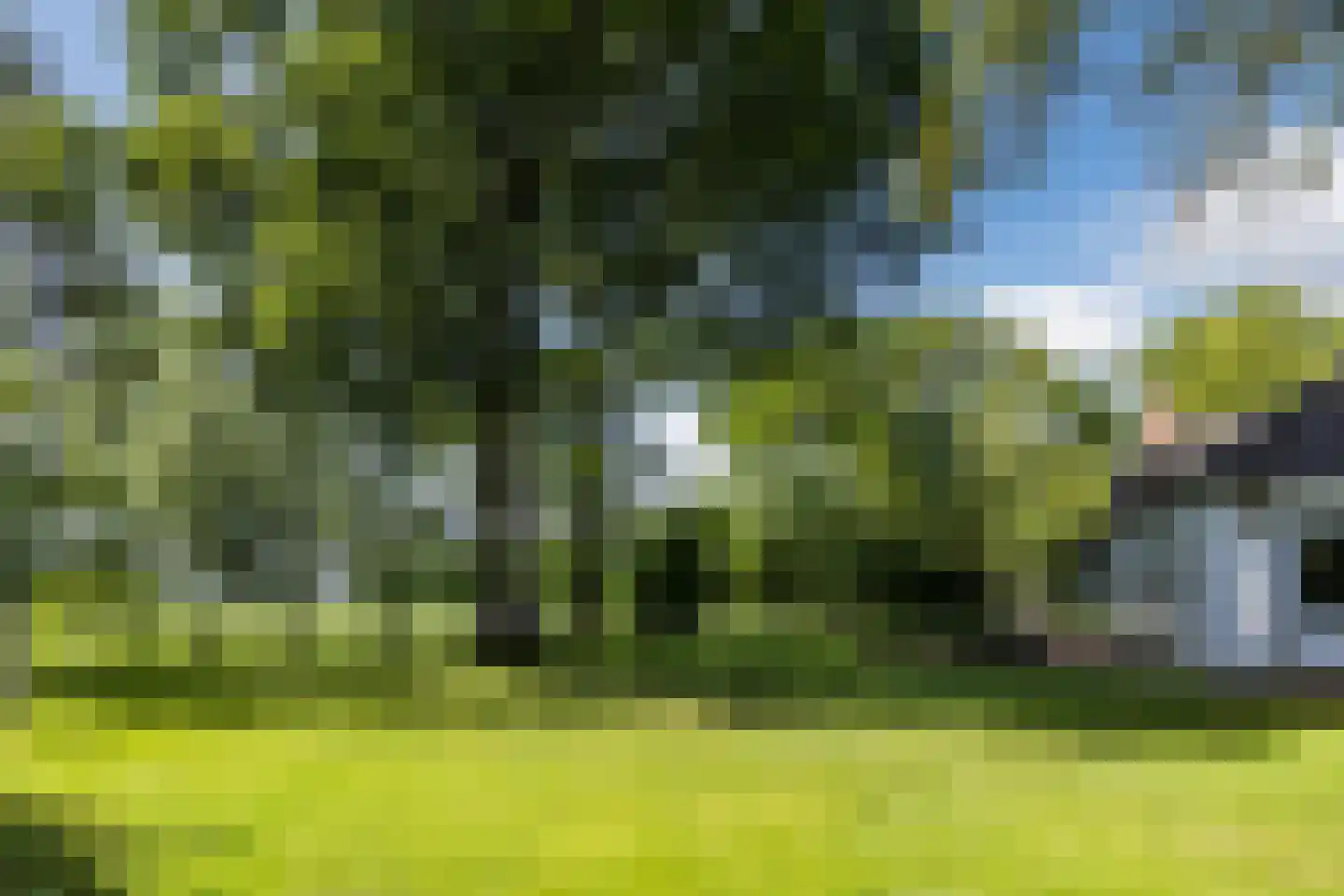 Openderweg 28 Opende thumbnail 87