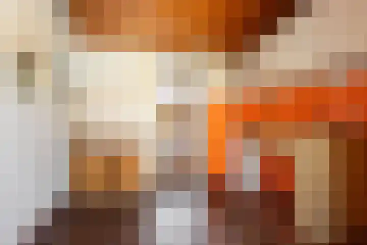 Openderweg 4 Opende thumbnail 11