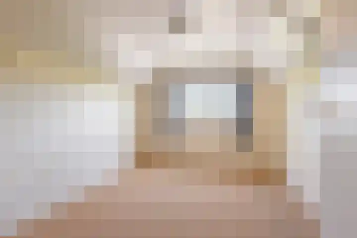 Openderweg 4 Opende thumbnail 21