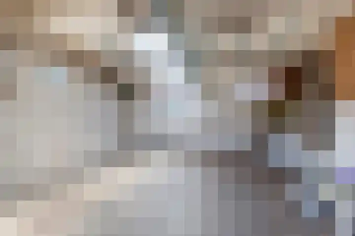 Openderweg 4 Opende thumbnail 22