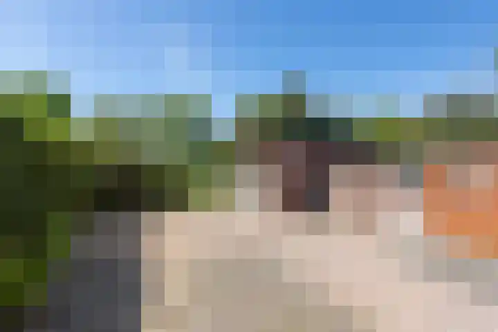 Openderweg 4 Opende thumbnail 24