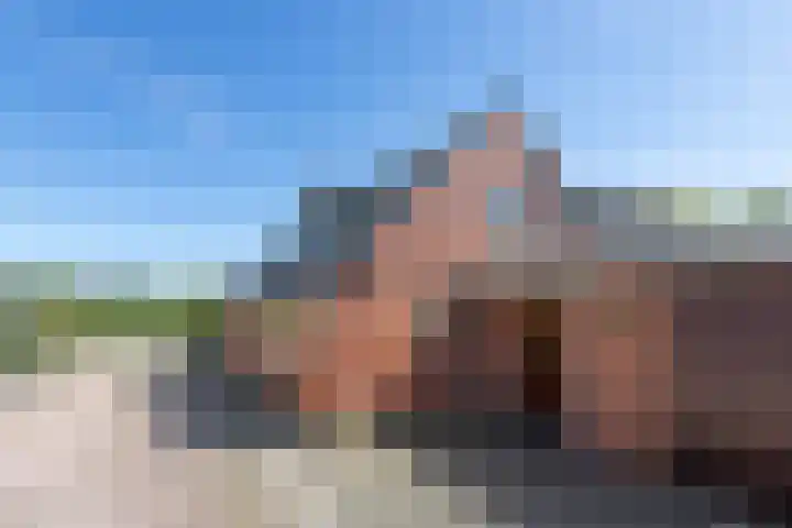 Openderweg 4 Opende thumbnail 25