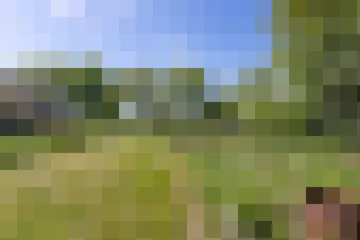 Openderweg 4 Opende thumbnail 28