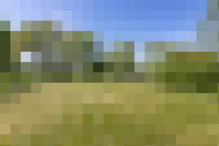 Openderweg 4 Opende thumbnail 29