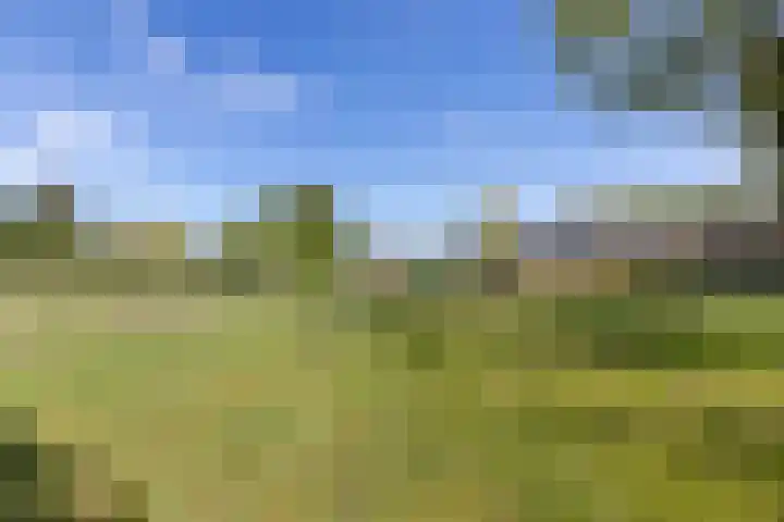 Openderweg 4 Opende thumbnail 30