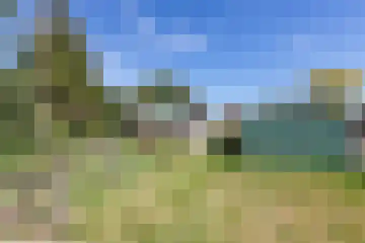 Openderweg 4 Opende thumbnail 31