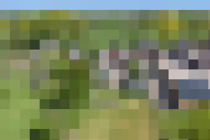 Openderweg 4 Opende thumbnail 37