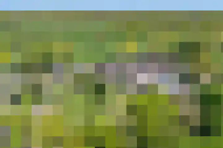 Openderweg 4 Opende thumbnail 38