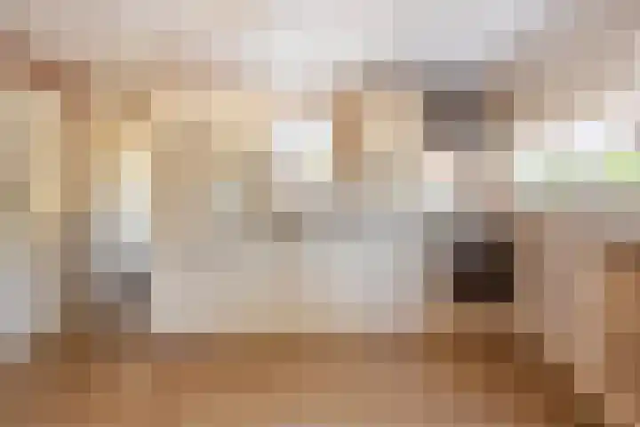 Openderweg 4 Opende thumbnail 8