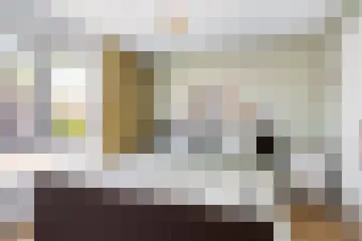 Opera 1 Zaandam thumbnail 27