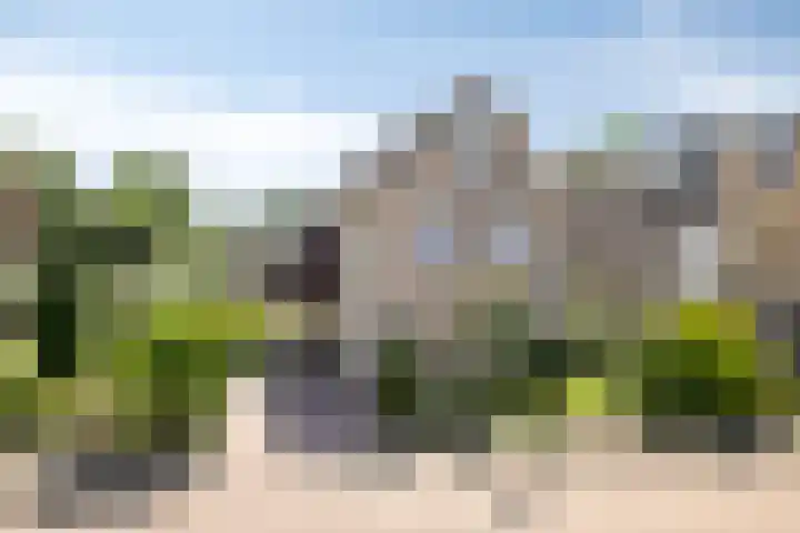 Opera 1 Zaandam thumbnail 36