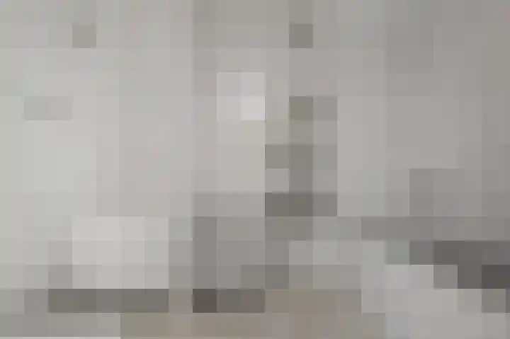 Opera 1 Zaandam thumbnail 4