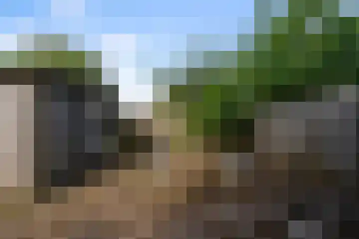 Opera 1 Zaandam thumbnail 5