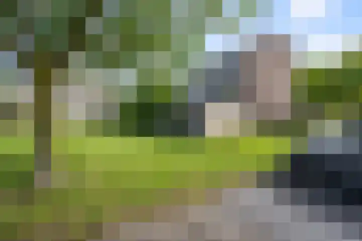 Opera 1 Zaandam thumbnail 6