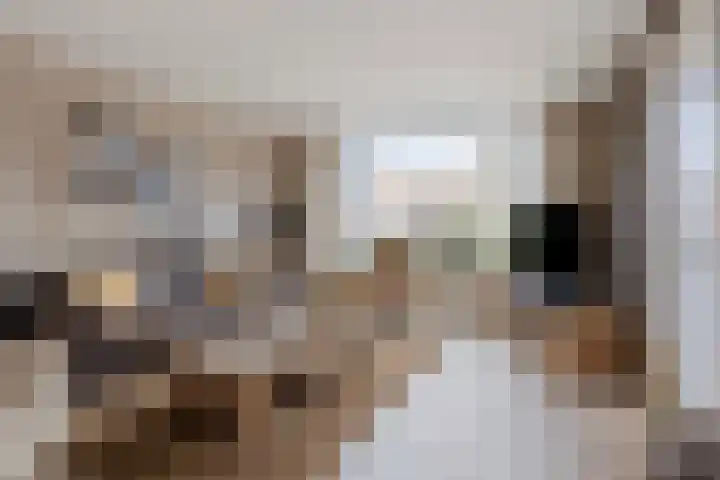 Opera 122 Eindhoven thumbnail 11
