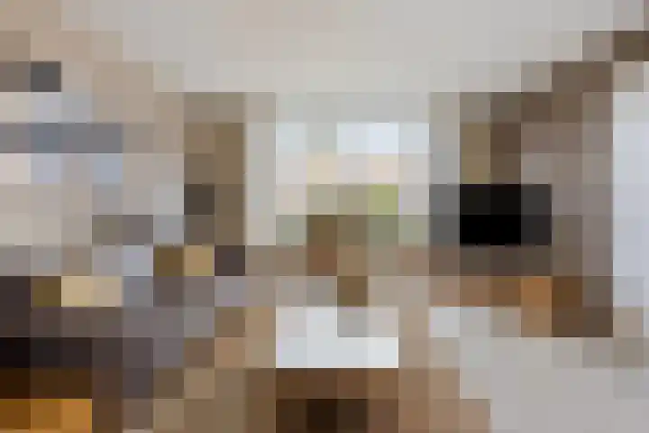 Opera 122 Eindhoven thumbnail 12