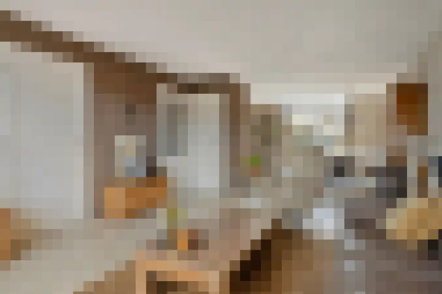 Opera 122 Eindhoven thumbnail 13