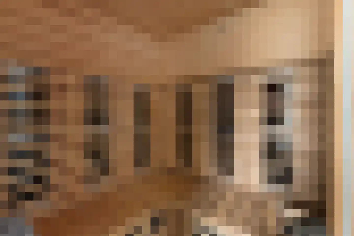 Opera 122 Eindhoven thumbnail 28