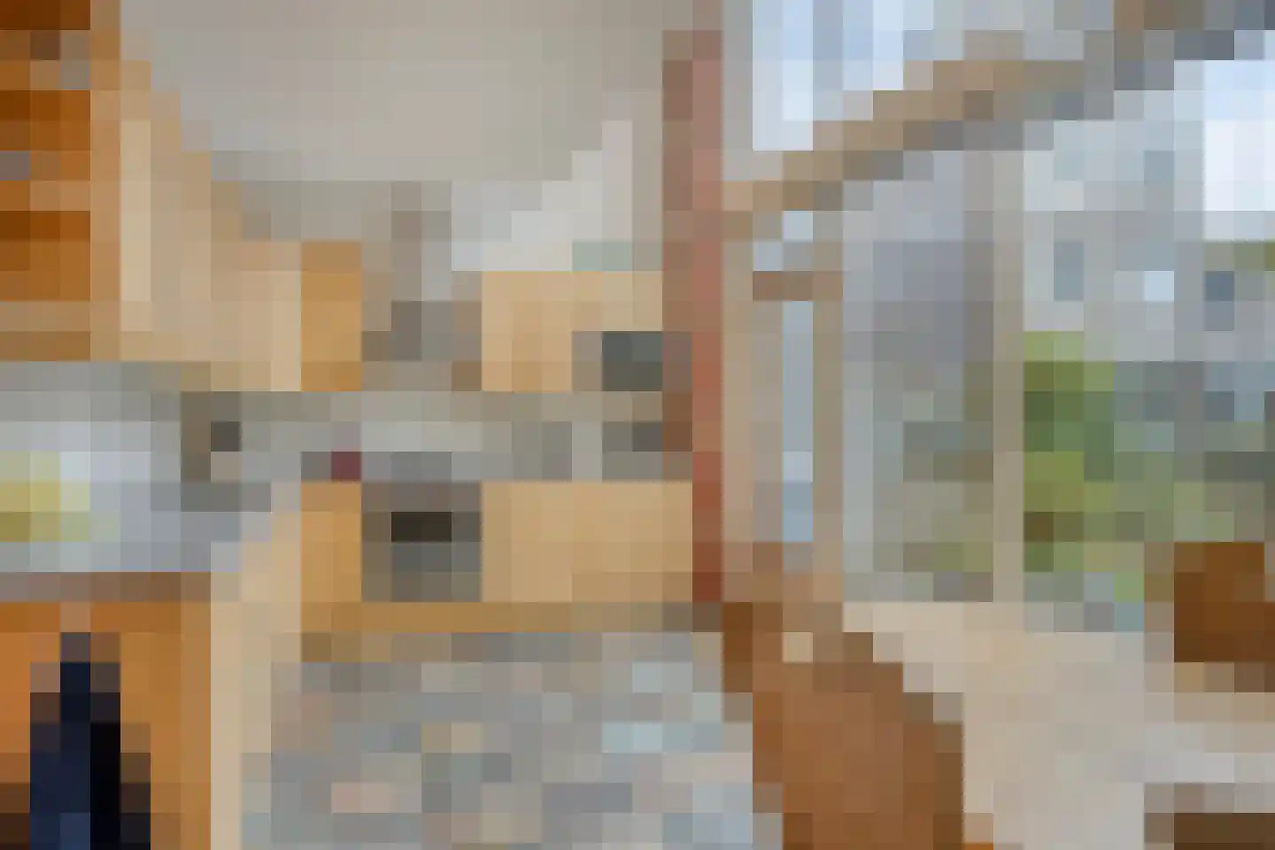 Opera 35 Zaandam foto 3