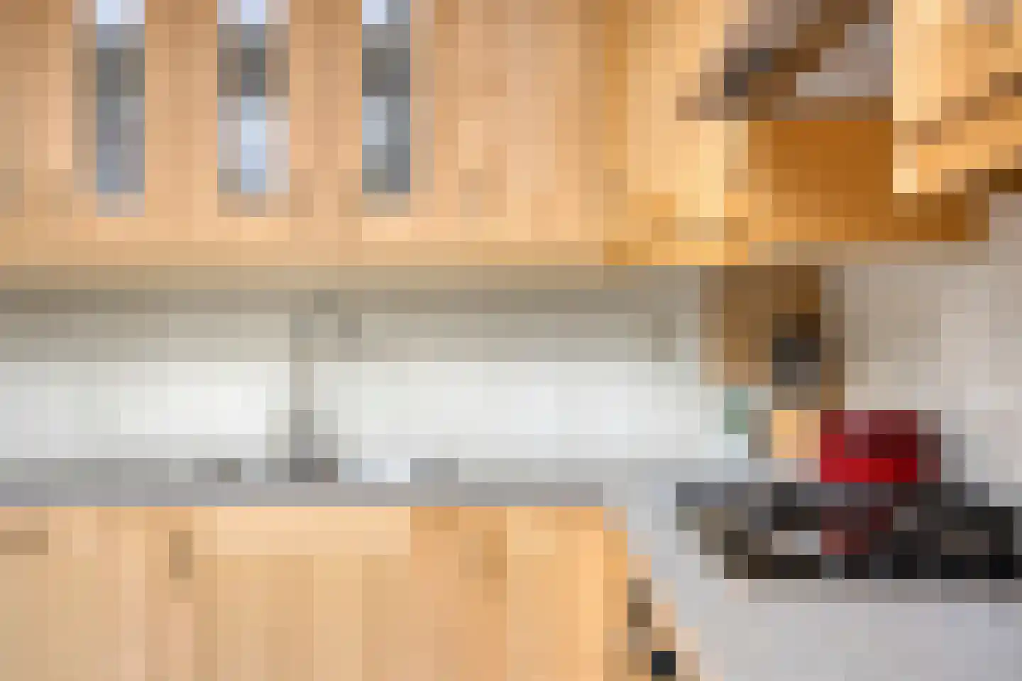 Opera 35 Zaandam thumbnail 5