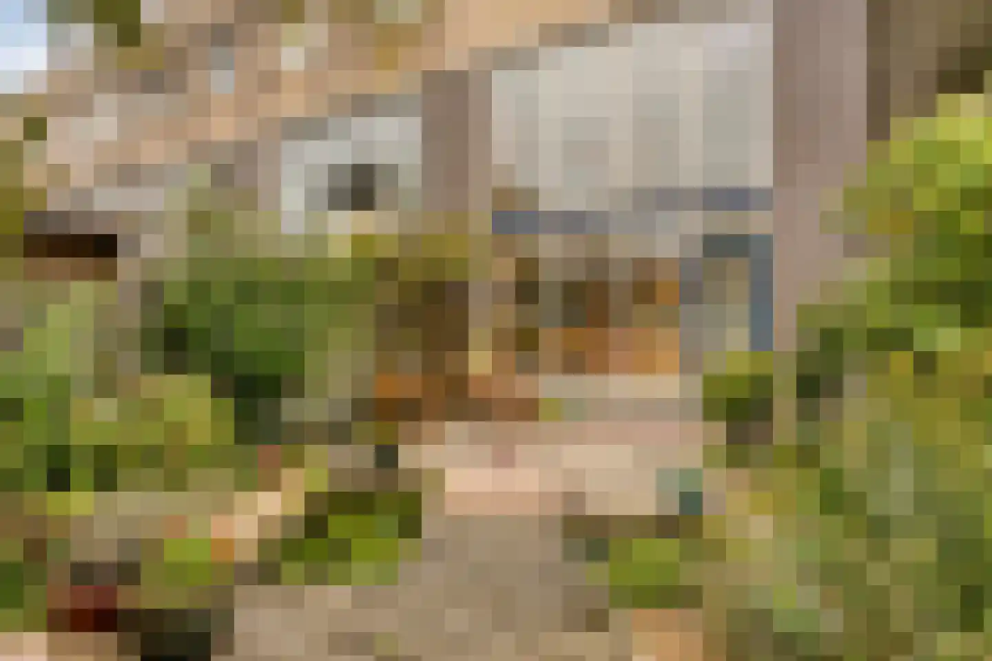 Opera 35 Zaandam thumbnail 7