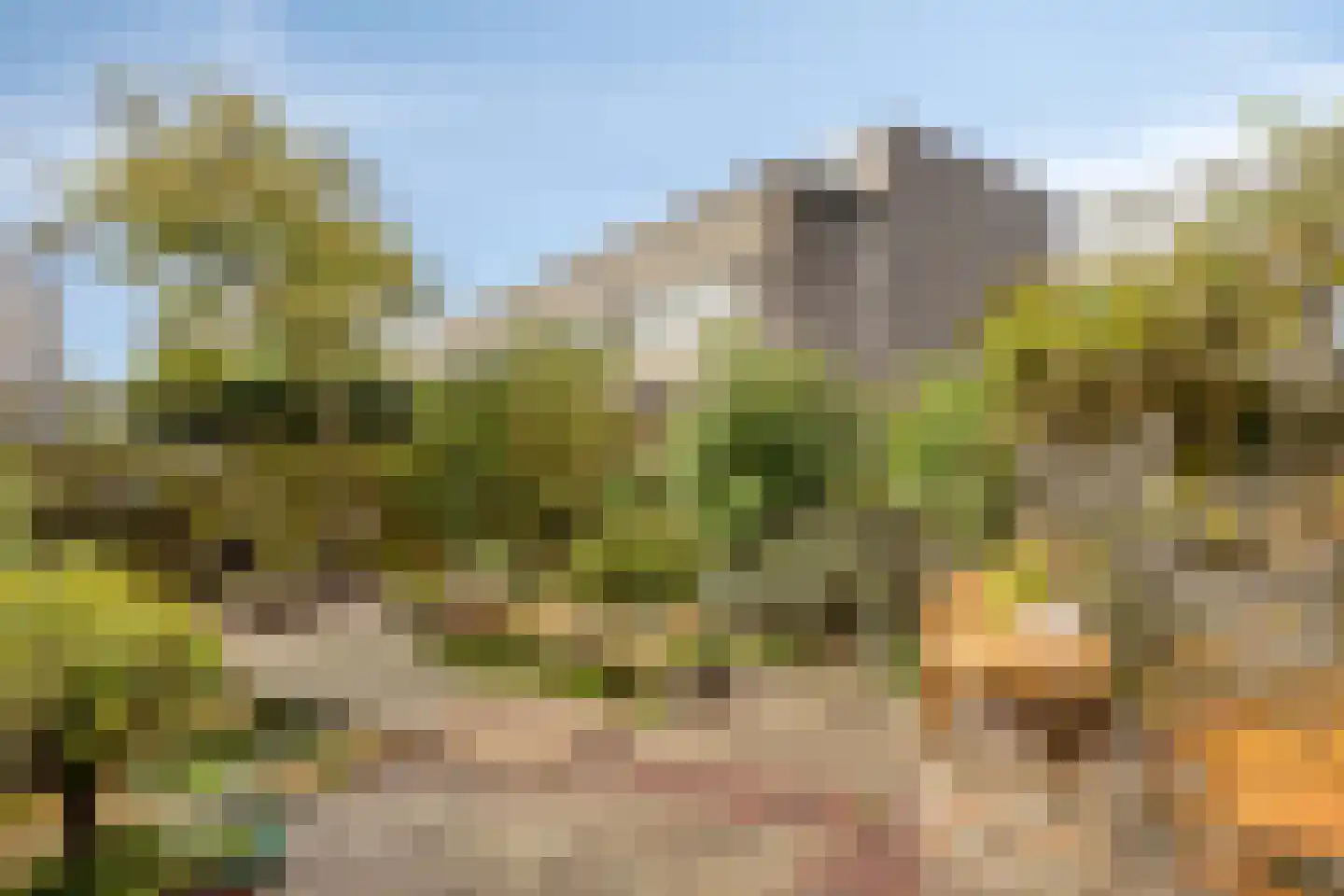 Opera 35 Zaandam thumbnail 8