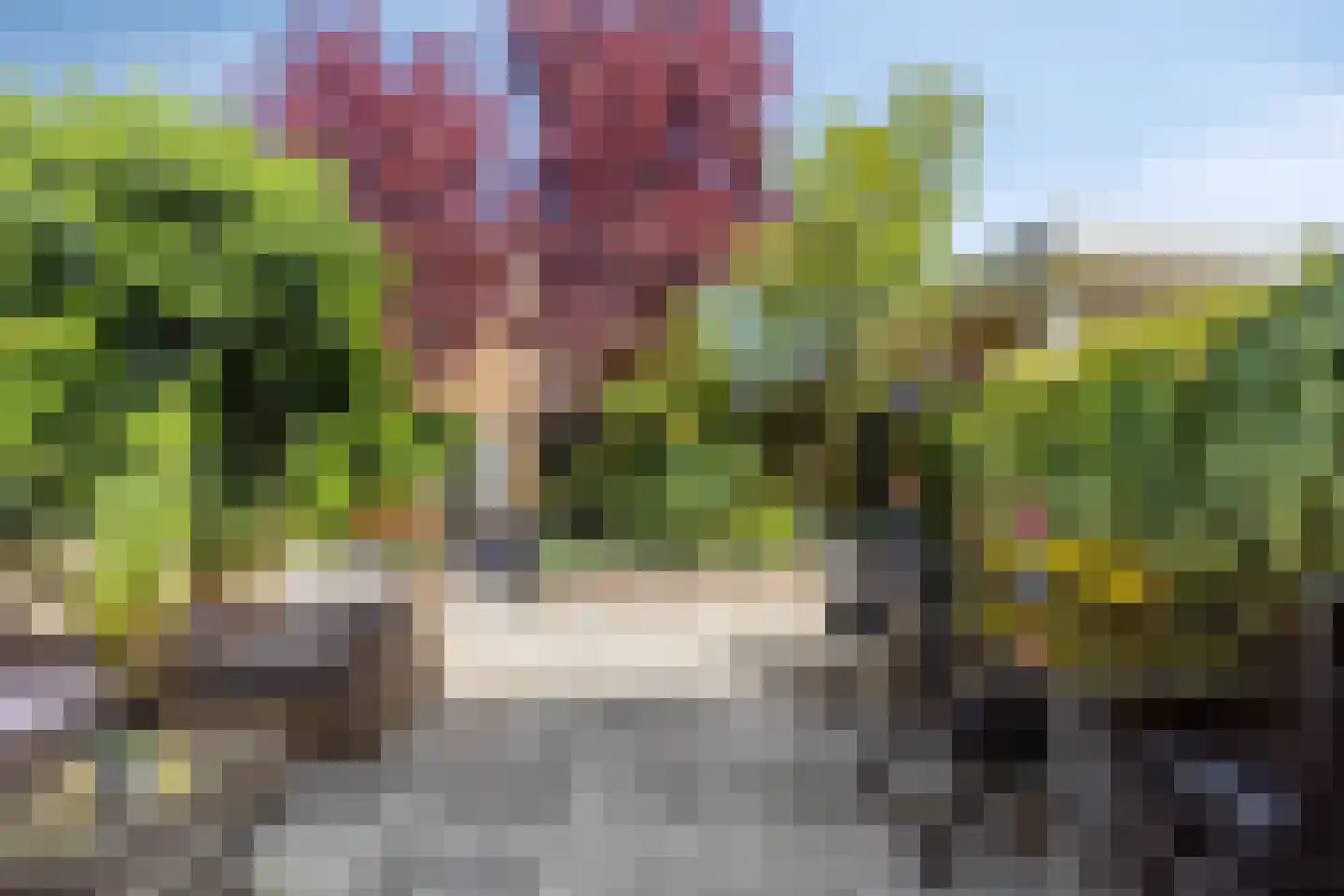 Opera 46 Eindhoven thumbnail 31